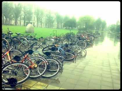 bikes-in-the-rain.jpg